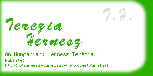 terezia hernesz business card